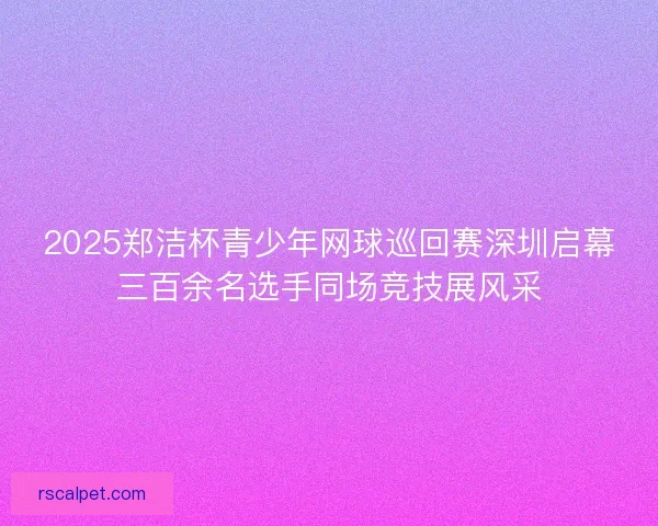 2025郑洁杯青少年网球巡回赛深圳启幕三百余名选手同场竞技展风采