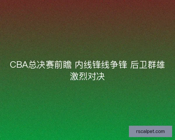 CBA总决赛前瞻 内线锋线争锋 后卫群雄激烈对决
