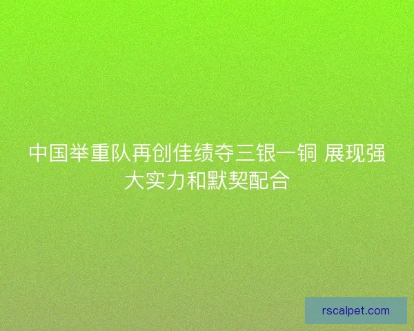 中国举重队再创佳绩夺三银一铜 展现强大实力和默契配合