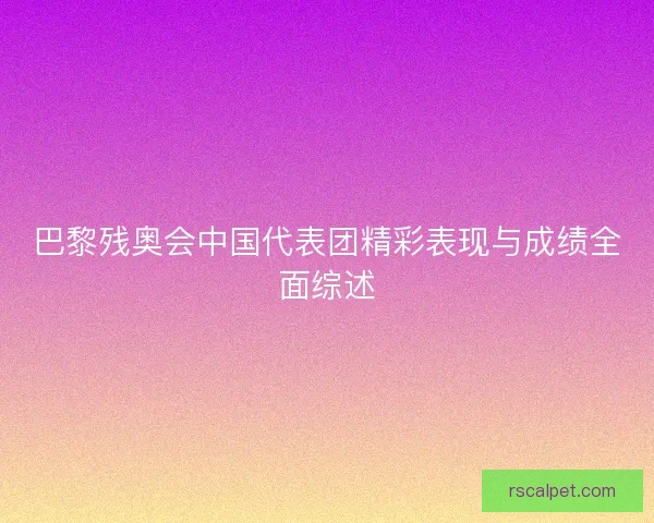 巴黎残奥会中国代表团精彩表现与成绩全面综述