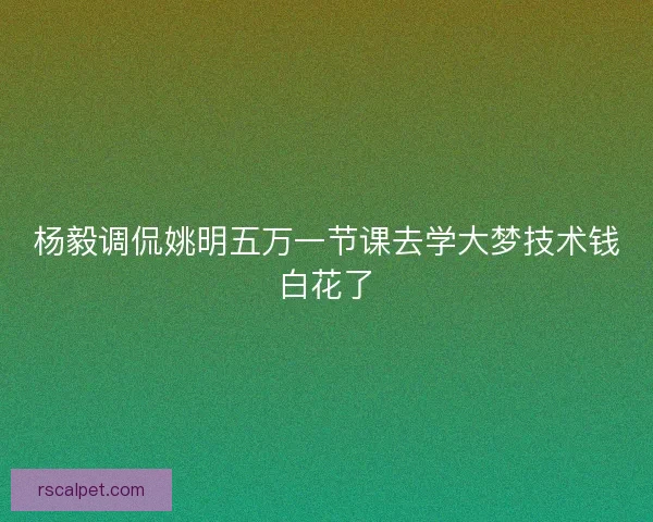 杨毅调侃姚明五万一节课去学大梦技术钱白花了