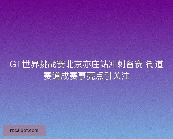 GT世界挑战赛北京亦庄站冲刺备赛 街道赛道成赛事亮点引关注